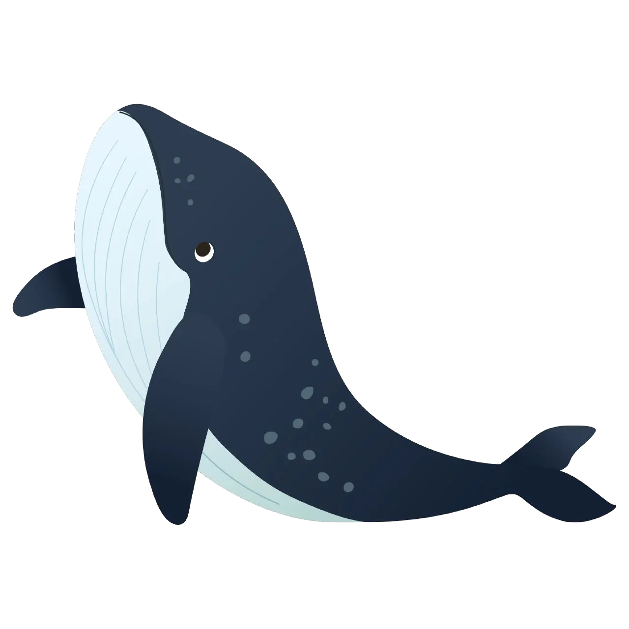 Bello the Whale