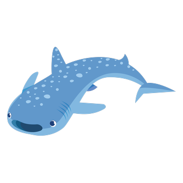 Whaley the Whale Shark
