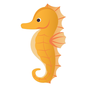Starry the Seahorse